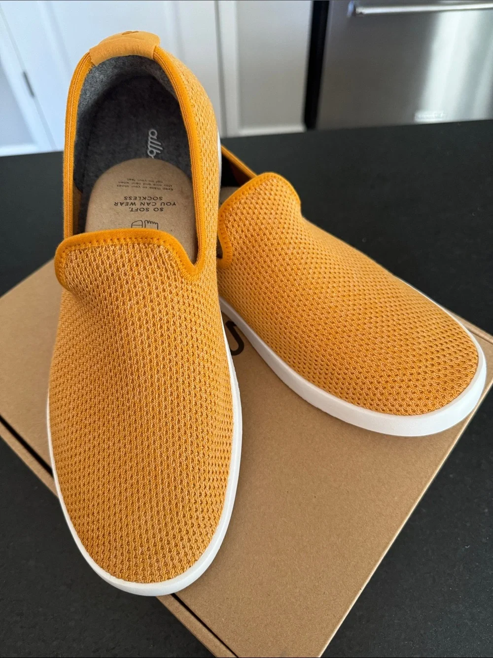 NWT Men’s Allbirds Tree Loungers 🔟